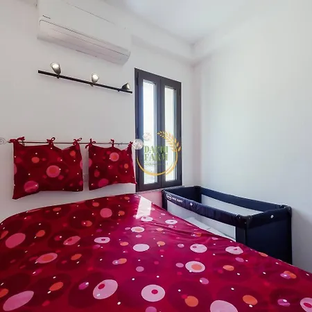 Ginny Dachi Farm * Marina dʼAndora