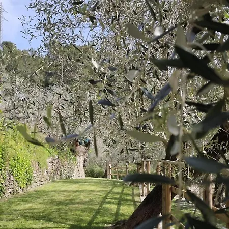 Ginny Dachi Farm Apartment *