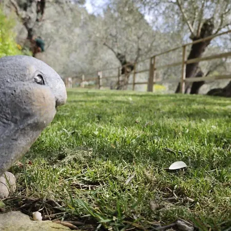 Ginny Dachi Farm Apartment