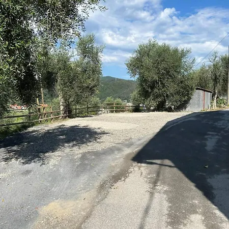 Ginny Dachi Farm