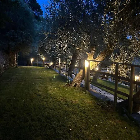 Ginny Dachi Farm