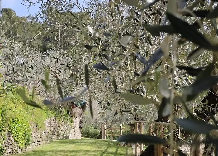 Ginny Dachi Farm Daire *